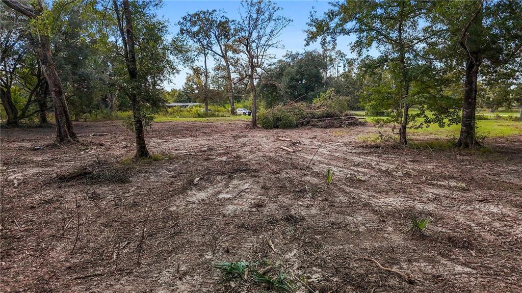 0 Bennett Road Holden, LA 70744 - Photo 7 of 13