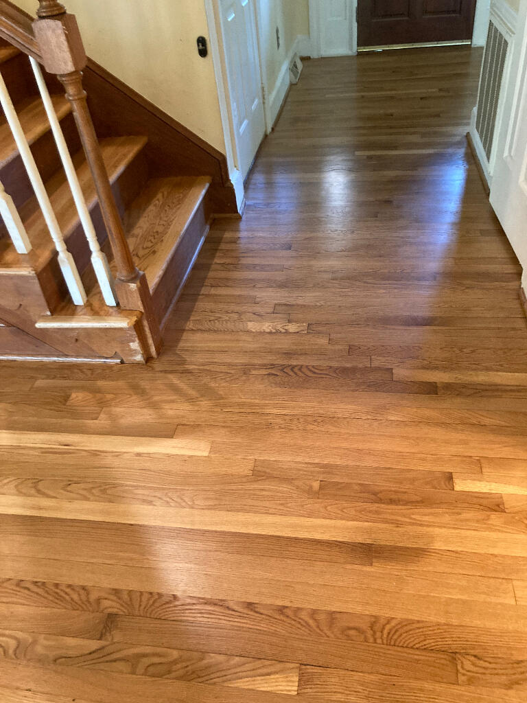 513 Rice Hope Drive Mount Pleasant, SC 29464 - Photo 5 of 15 04