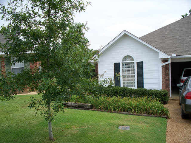 113 Kings Ridge Drive Brandon, MS 39047 - Photo 1 of 1 Photo 1
