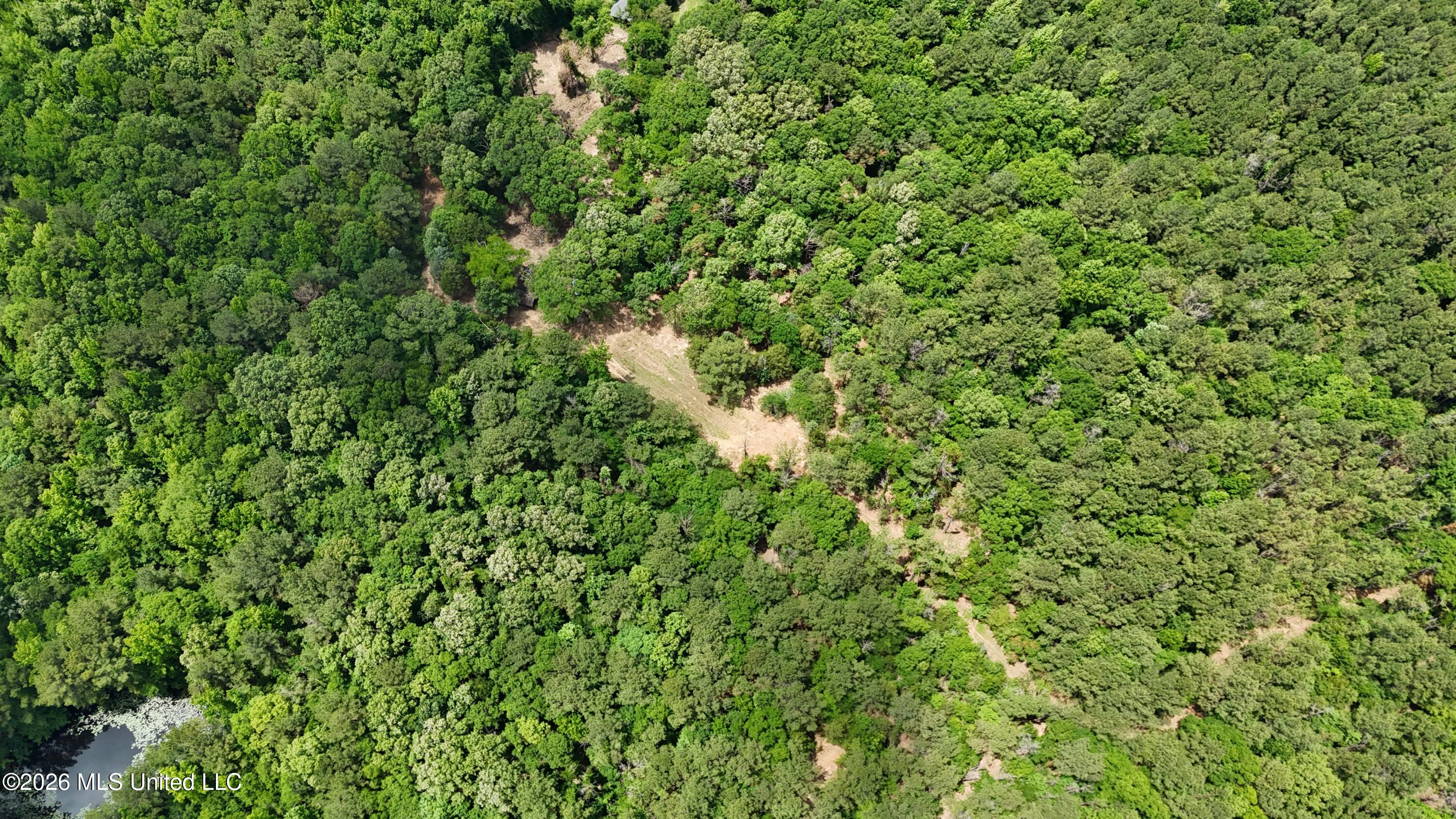 164 Potluck Road Canton, MS 39046 - Photo 2 of 25 dji_fly_20260519_124234_0802_17812852486