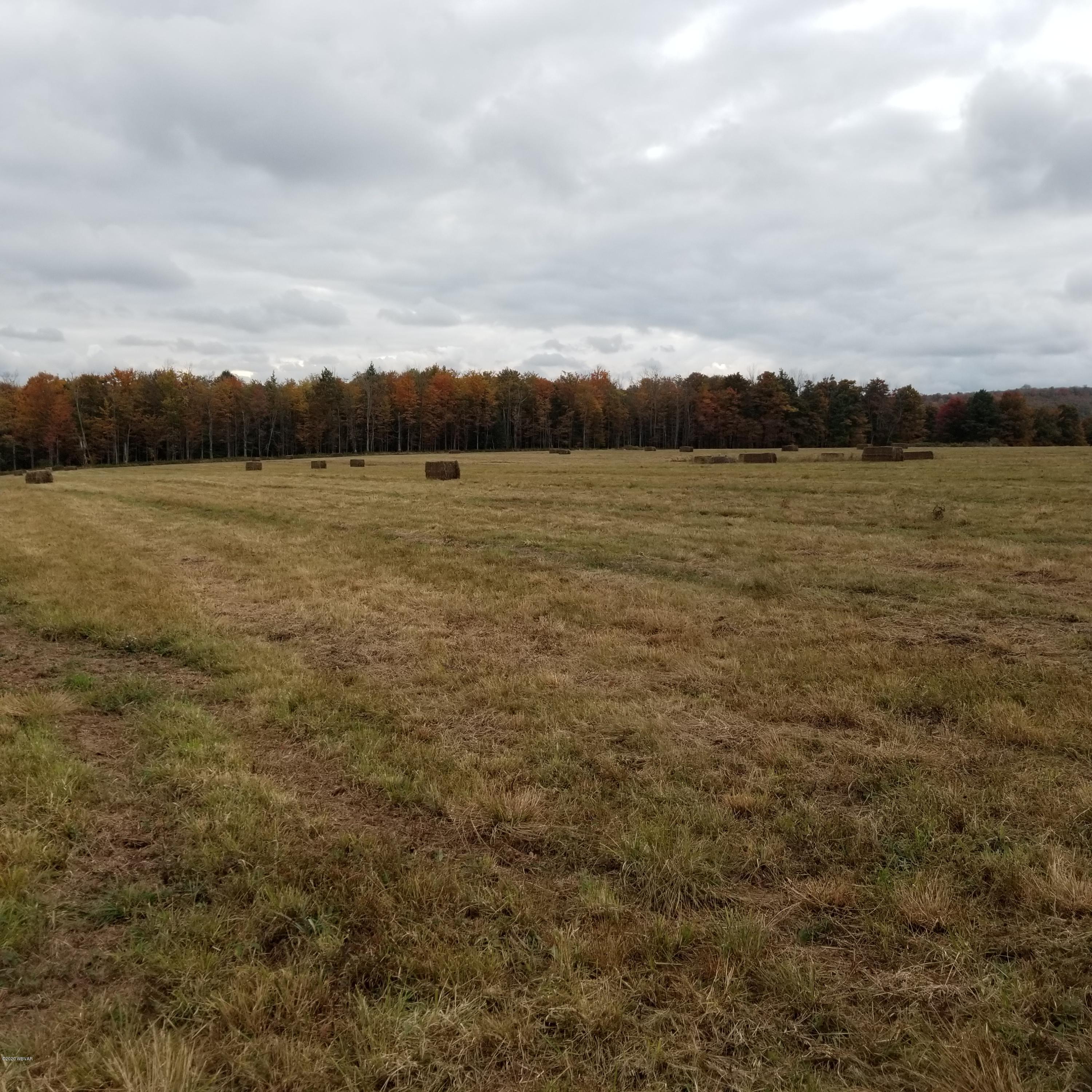 Mountain Road, Unit 5 Dushore, PA 18614 - Photo 6 of 9 Gallery Image 6