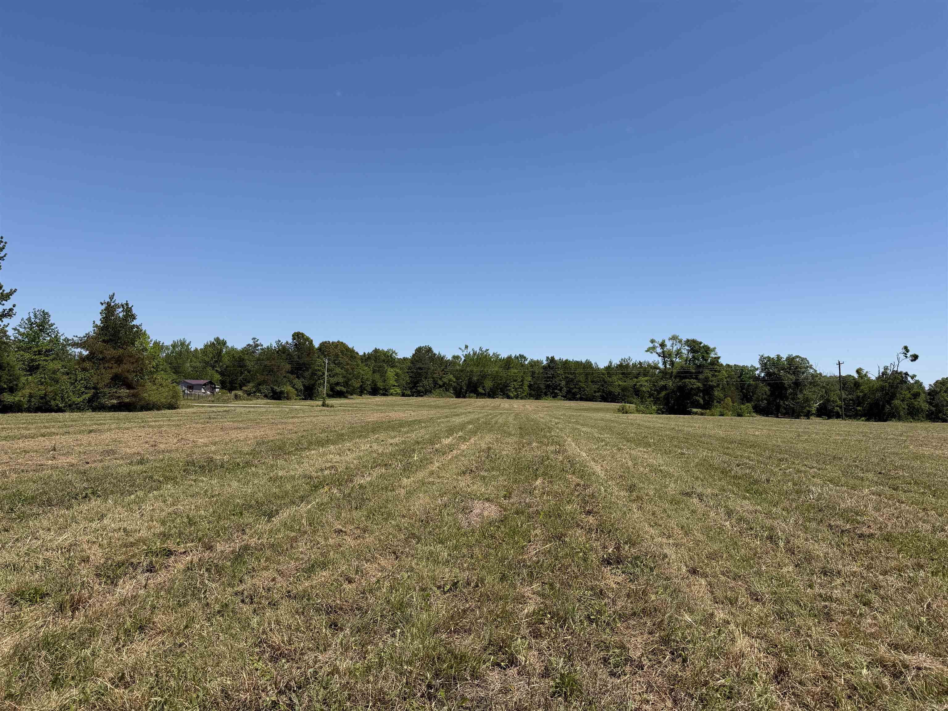 5 Bethlehem Road Adamsville, TN 38310 - Photo 2 of 9