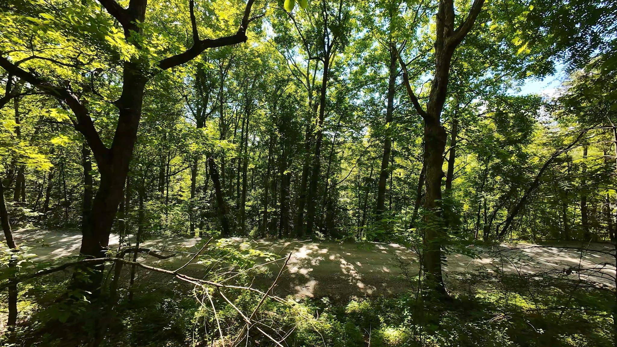 Tbd Broad Shoals Road Riner, VA 24149 - Photo 7 of 13 Gallery Image 7
