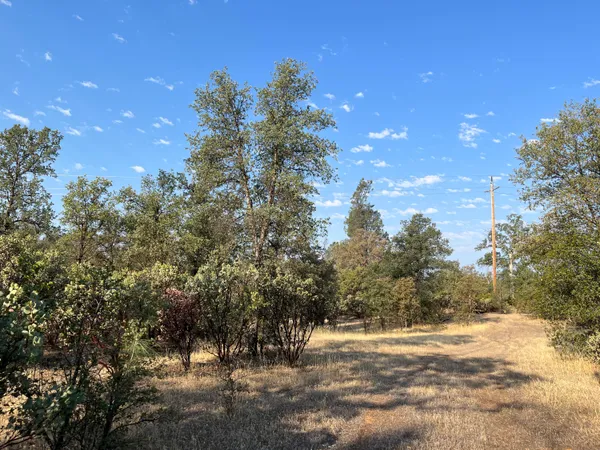 a view of a yard with a tree