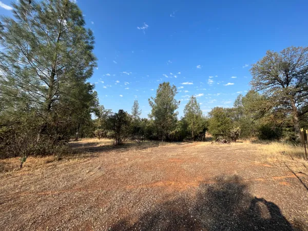 a view of a yard with trees in the background