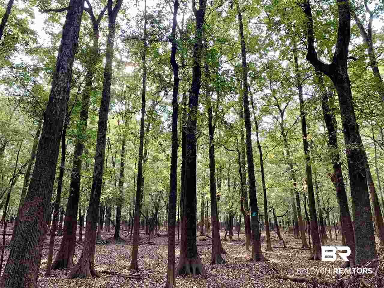 0 Holly Creek Road Stockton, AL 36579 - Photo 33 of 50