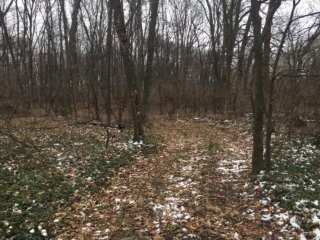 19945 Highway 60 Three Rivers, MI 49093 - Photo 1 of 4 IMG_2137