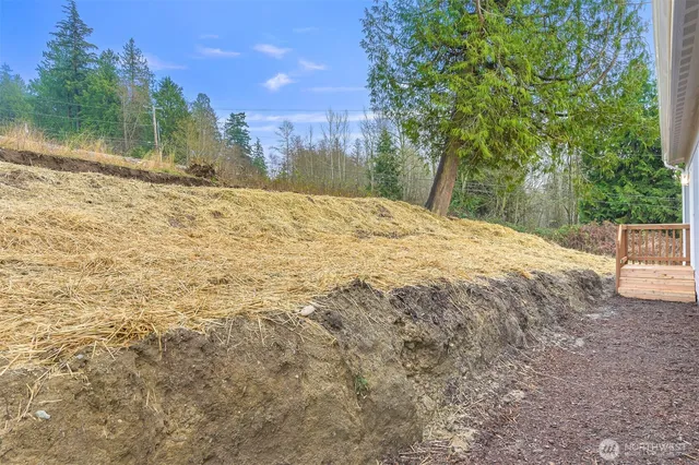 a view of a yard with large trees