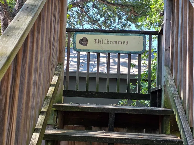 a view of house with a small yard