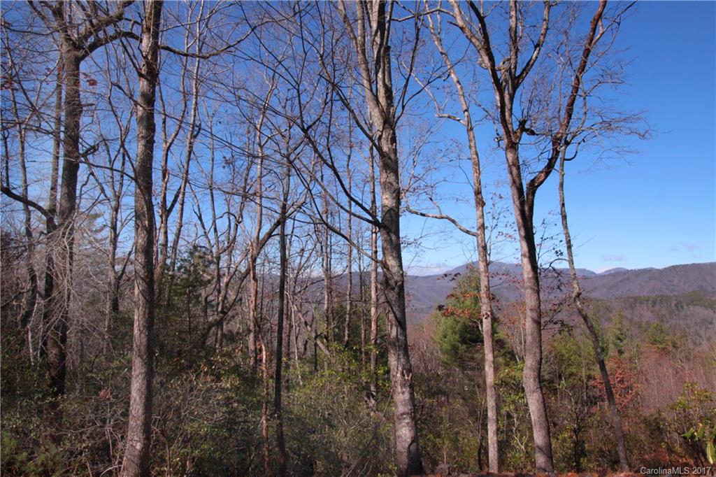 Lot 17 Arrowhead Ridge Road, Unit 17 Brevard, NC 28712 - Photo 1 of 23 Gallery Image 1