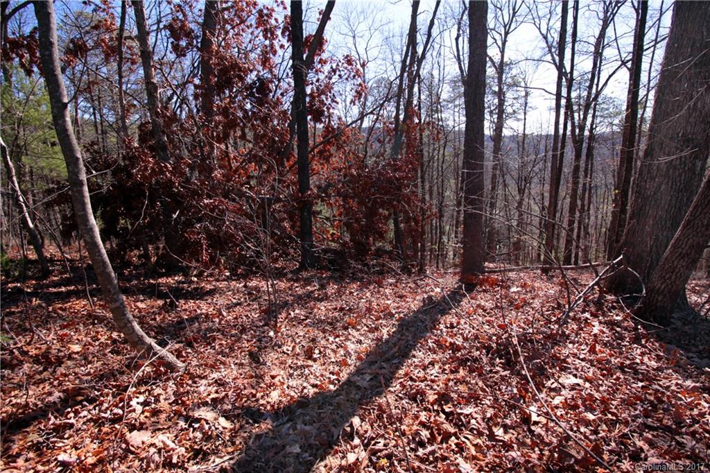 Lot 17 Arrowhead Ridge Road, Unit 17 Brevard, NC 28712 - Photo 2 of 23 Gallery Image 2