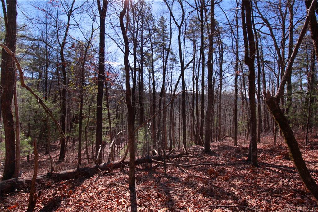 Lot 17 Arrowhead Ridge Road, Unit 17 Brevard, NC 28712 - Photo 11 of 23 Gallery Image 11
