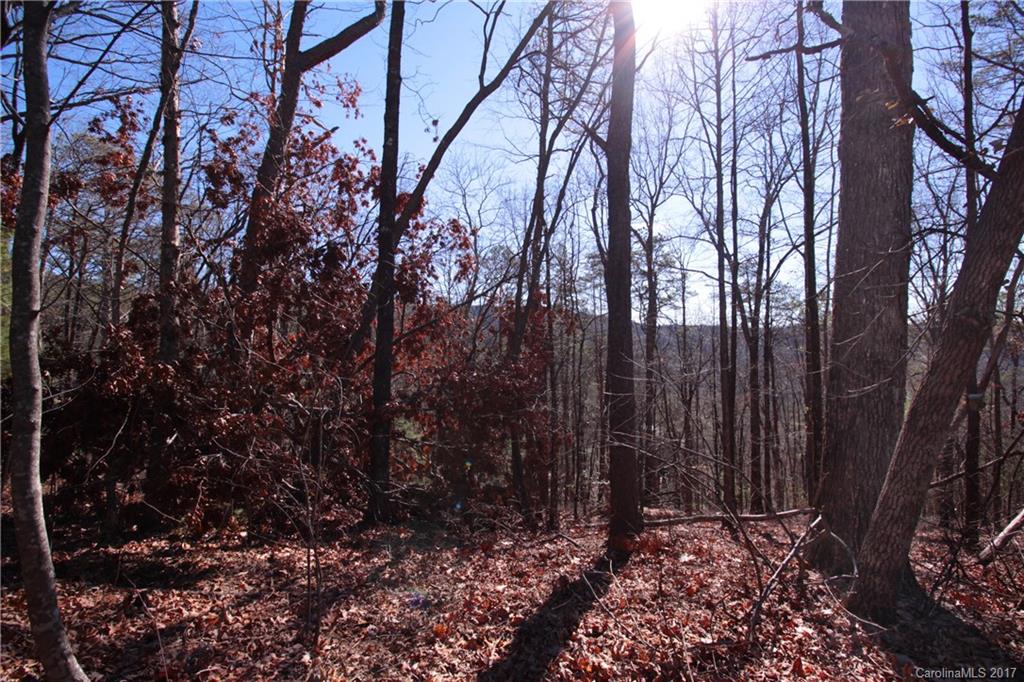 Lot 17 Arrowhead Ridge Road, Unit 17 Brevard, NC 28712 - Photo 12 of 23 Gallery Image 12