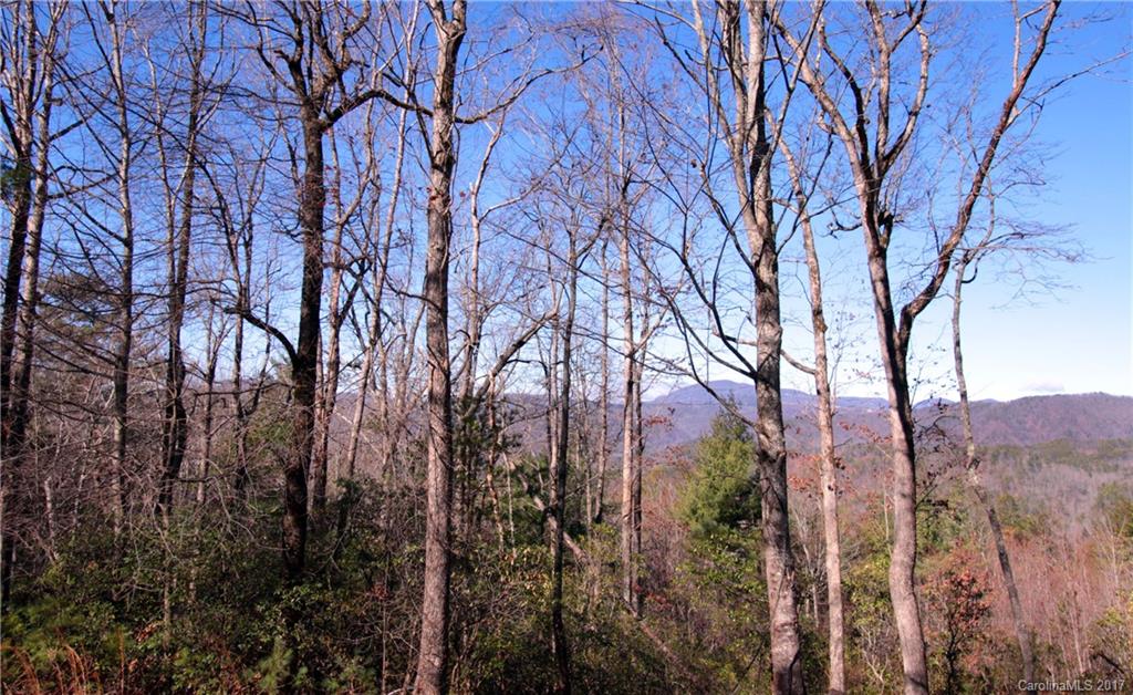 Lot 17 Arrowhead Ridge Road, Unit 17 Brevard, NC 28712 - Photo 14 of 23 Gallery Image 14