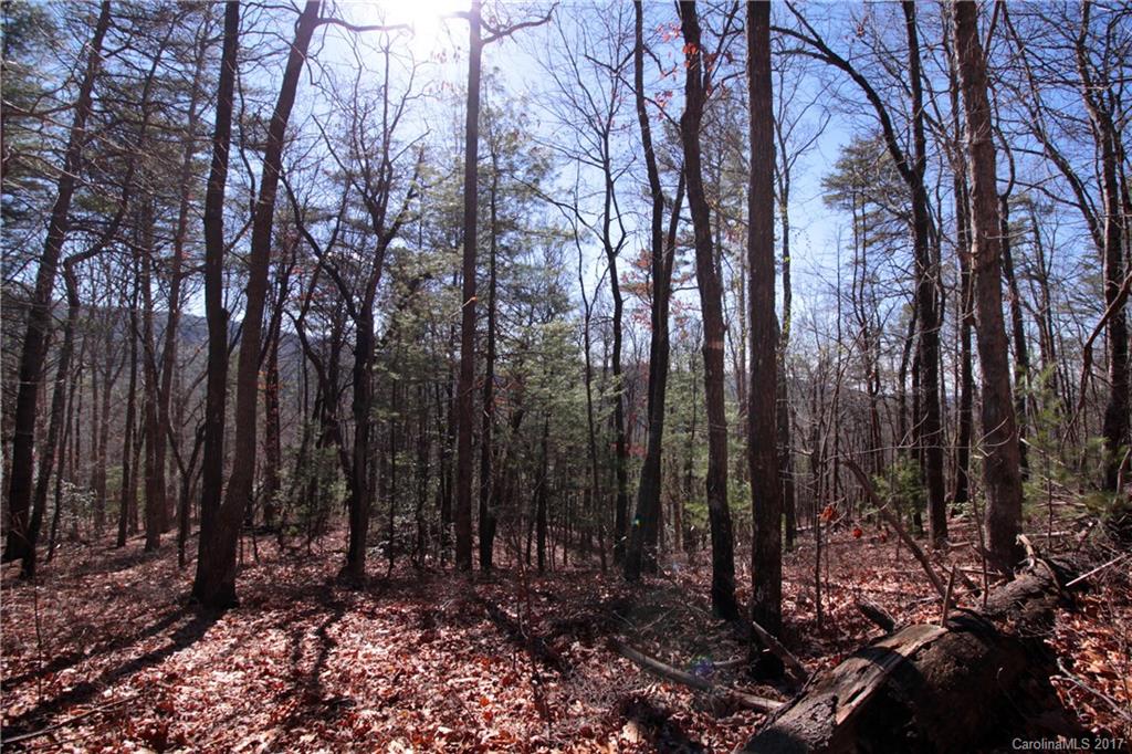 Lot 17 Arrowhead Ridge Road, Unit 17 Brevard, NC 28712 - Photo 15 of 23 Gallery Image 15