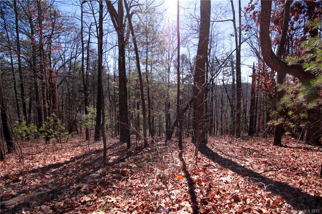 Lot 17 Arrowhead Ridge Road, Unit 17 Brevard, NC 28712 - Photo 16 of 23 Gallery Image 16
