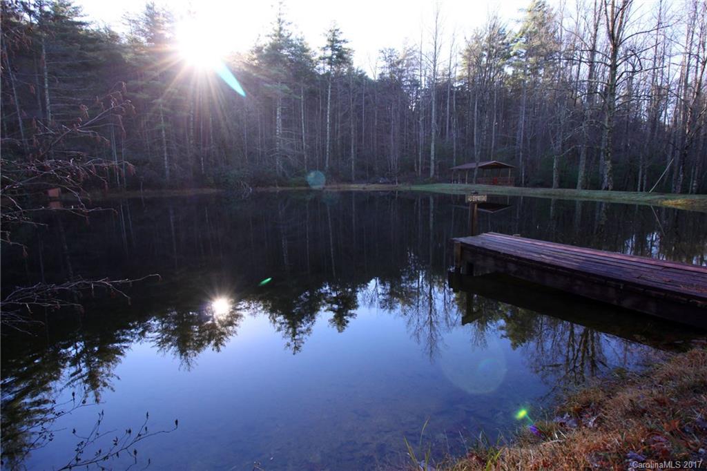 Lot 17 Arrowhead Ridge Road, Unit 17 Brevard, NC 28712 - Photo 20 of 23 Gallery Image 20