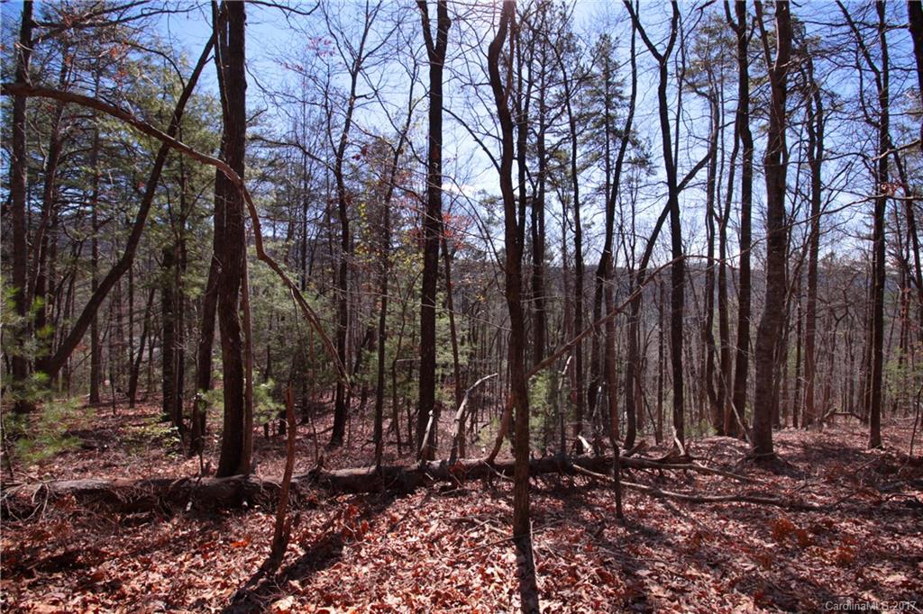 Lot 17 Arrowhead Ridge Road, Unit 17 Brevard, NC 28712 - Photo 3 of 23 Gallery Image 3