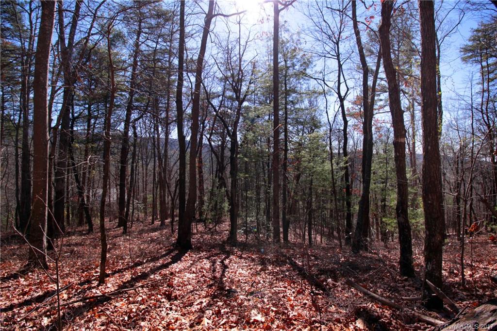 Lot 17 Arrowhead Ridge Road, Unit 17 Brevard, NC 28712 - Photo 5 of 23 Gallery Image 5