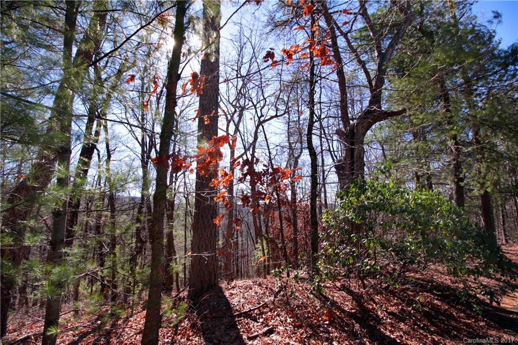 Lot 17 Arrowhead Ridge Road, Unit 17 Brevard, NC 28712 - Photo 7 of 23 Gallery Image 7