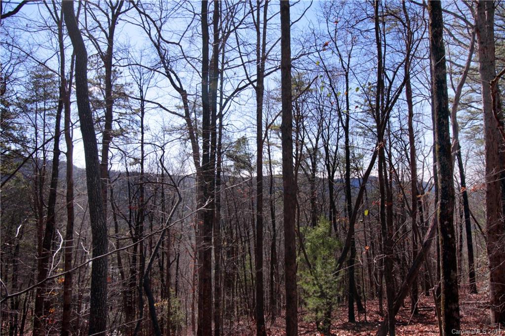 Lot 17 Arrowhead Ridge Road, Unit 17 Brevard, NC 28712 - Photo 10 of 23 Gallery Image 10