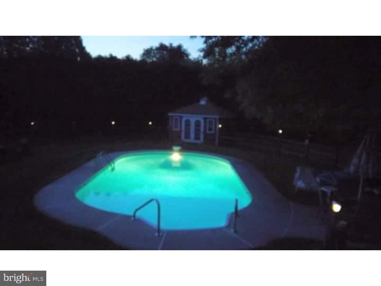 2025 George Road Palm, PA 18070 - Photo 8 of 25 Pool