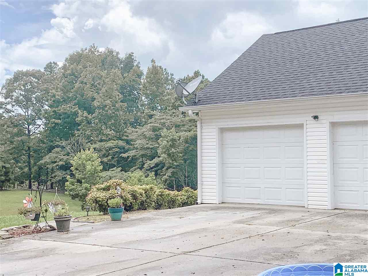 4000 County Road 20 Oneonta, AL 35121 - Photo 3 of 48