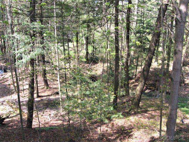 2450 South Lakeshore Road Applegate, MI 48401 - Photo 26 of 28 31365528-25.JPG