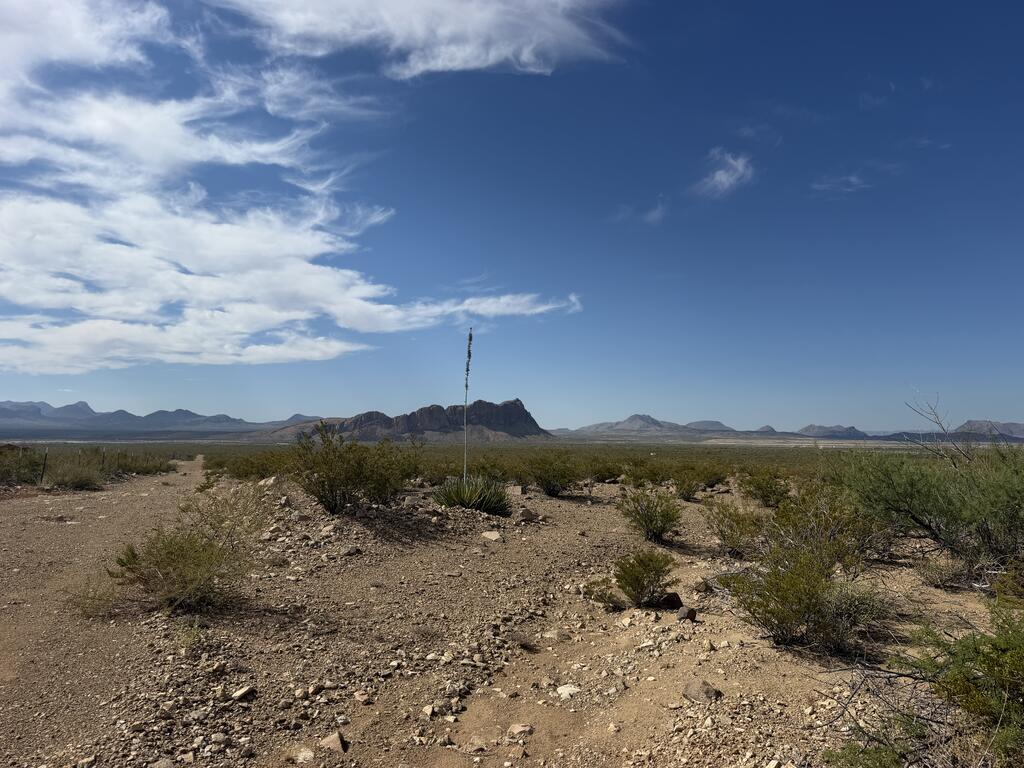 420 Trailer Road Alpine, TX 79830 - Photo 2 of 18 Gallery Image 2