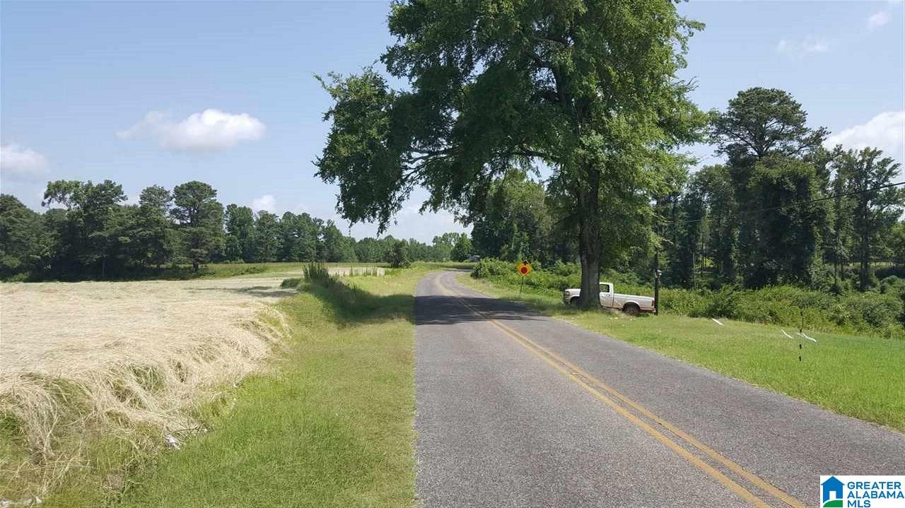 2330 Kemp Road Warrior, AL 35180 - Photo 4 of 5
