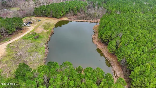 $238,500 | 4603 Mississippi 28, Mize, MS 39116