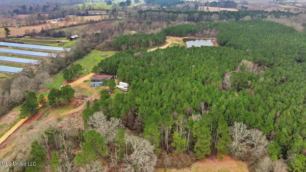 $238,500 | 4603 Mississippi 28, Mize, MS 39116