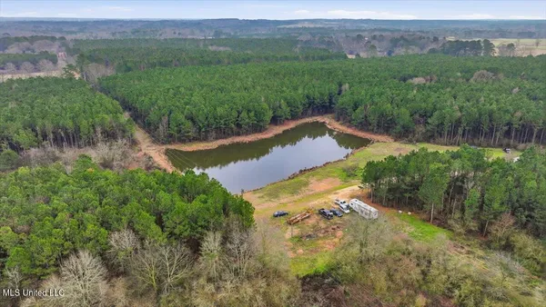 $238,500 | 4603 Mississippi 28, Mize, MS 39116