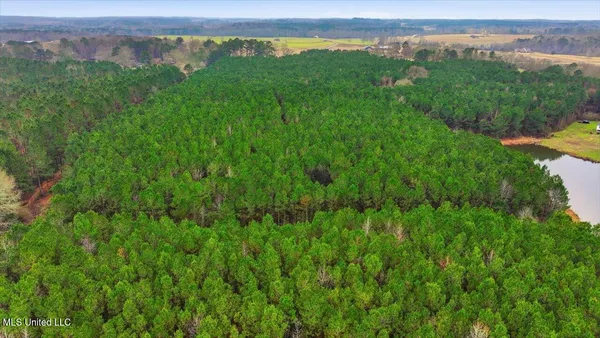 $238,500 | 4603 Mississippi 28, Mize, MS 39116