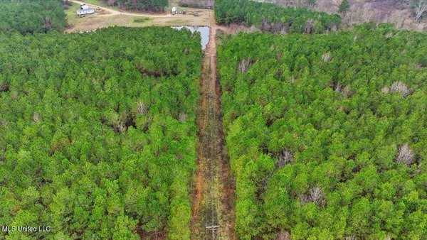 $238,500 | 4603 Mississippi 28, Mize, MS 39116