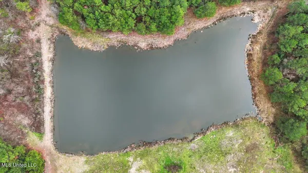 $238,500 | 4603 Mississippi 28, Mize, MS 39116