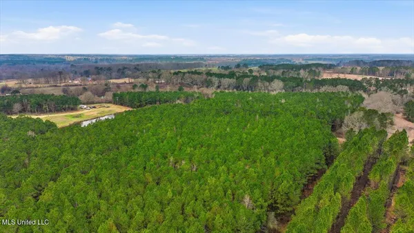 $238,500 | 4603 Mississippi 28, Mize, MS 39116