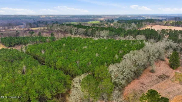 $238,500 | 4603 Mississippi 28, Mize, MS 39116