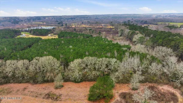 $238,500 | 4603 Mississippi 28, Mize, MS 39116