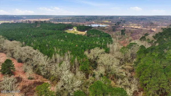 $238,500 | 4603 Mississippi 28, Mize, MS 39116