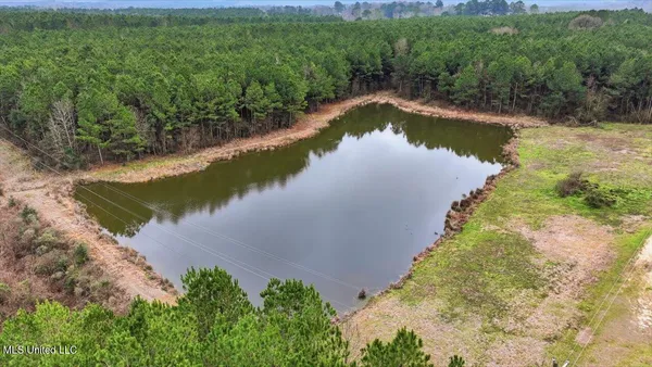 $238,500 | 4603 Mississippi 28, Mize, MS 39116