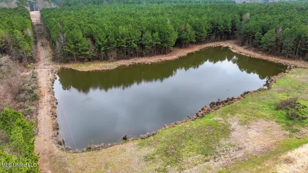 $238,500 | 4603 Mississippi 28, Mize, MS 39116