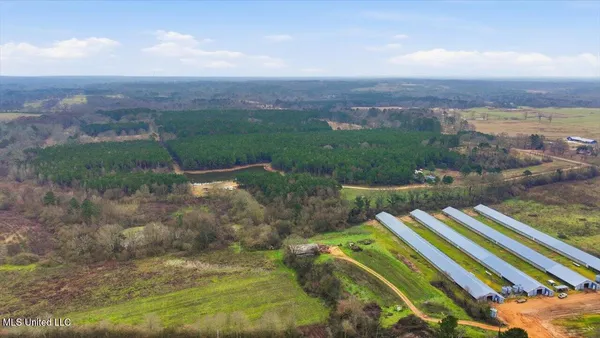 $238,500 | 4603 Mississippi 28, Mize, MS 39116