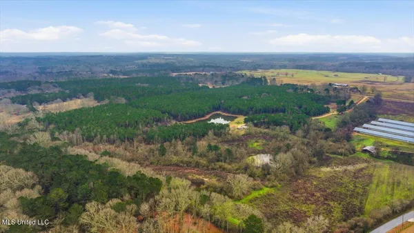 $238,500 | 4603 Mississippi 28, Mize, MS 39116