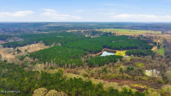 $238,500 | 4603 Mississippi 28, Mize, MS 39116