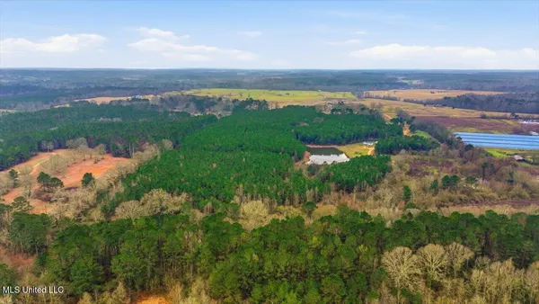 $238,500 | 4603 Mississippi 28, Mize, MS 39116