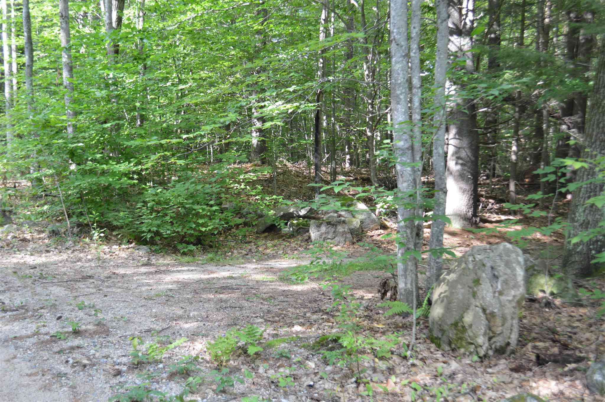 Lot 7 Bickford Road, Unit 7 Wolfeboro, NH 03894 - Photo 1 of 16 Gallery Image 1