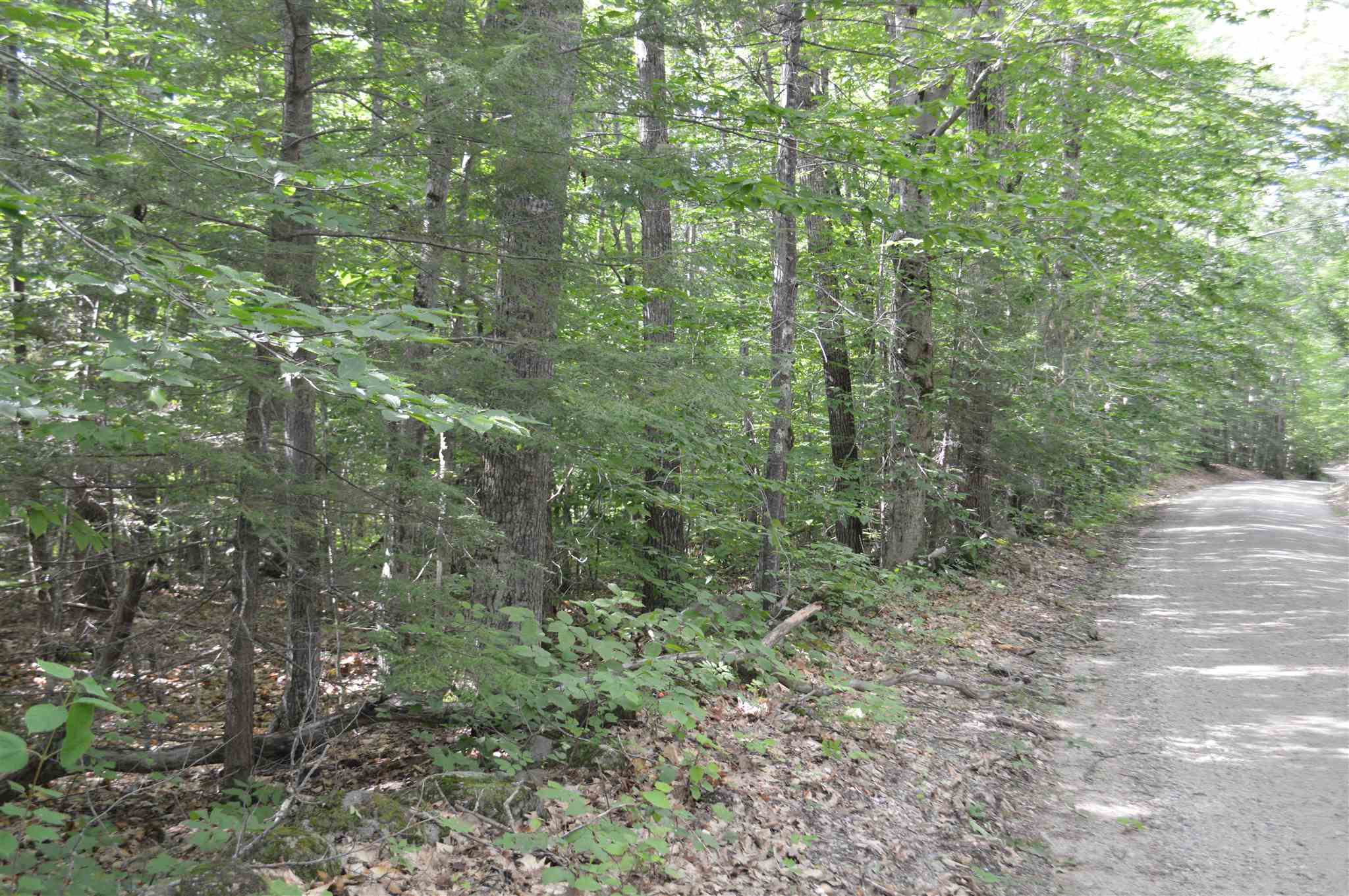 Lot 7 Bickford Road, Unit 7 Wolfeboro, NH 03894 - Photo 11 of 16 Gallery Image 11