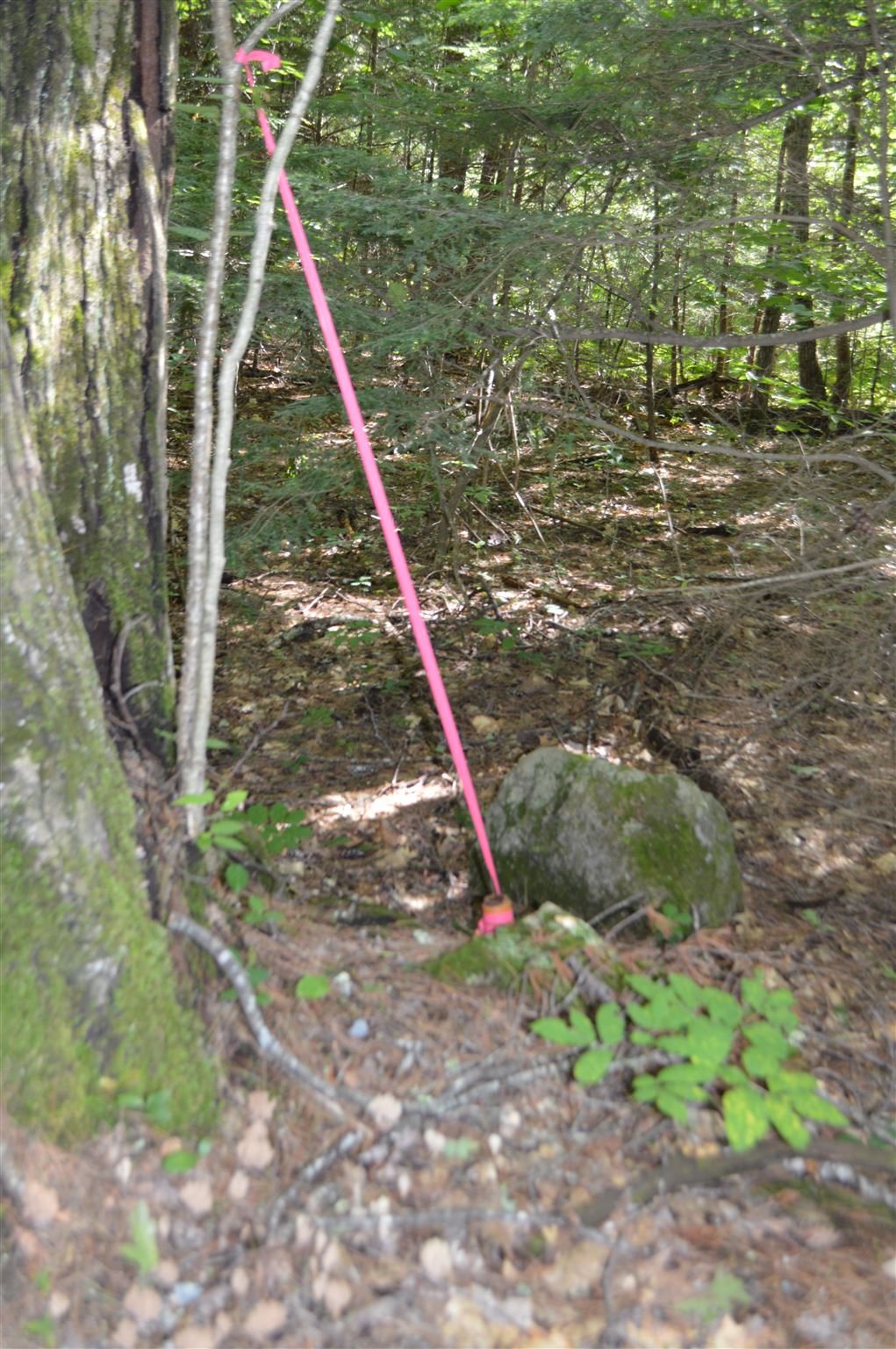 Lot 7 Bickford Road, Unit 7 Wolfeboro, NH 03894 - Photo 13 of 16 Gallery Image 13