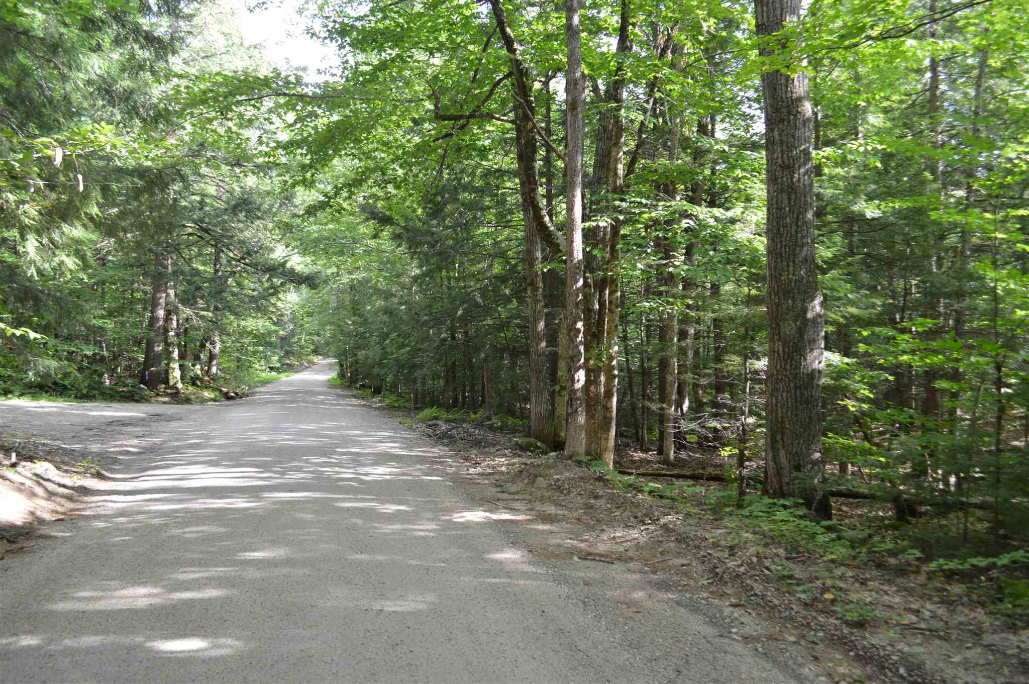 Lot 7 Bickford Road, Unit 7 Wolfeboro, NH 03894 - Photo 14 of 16 Gallery Image 14